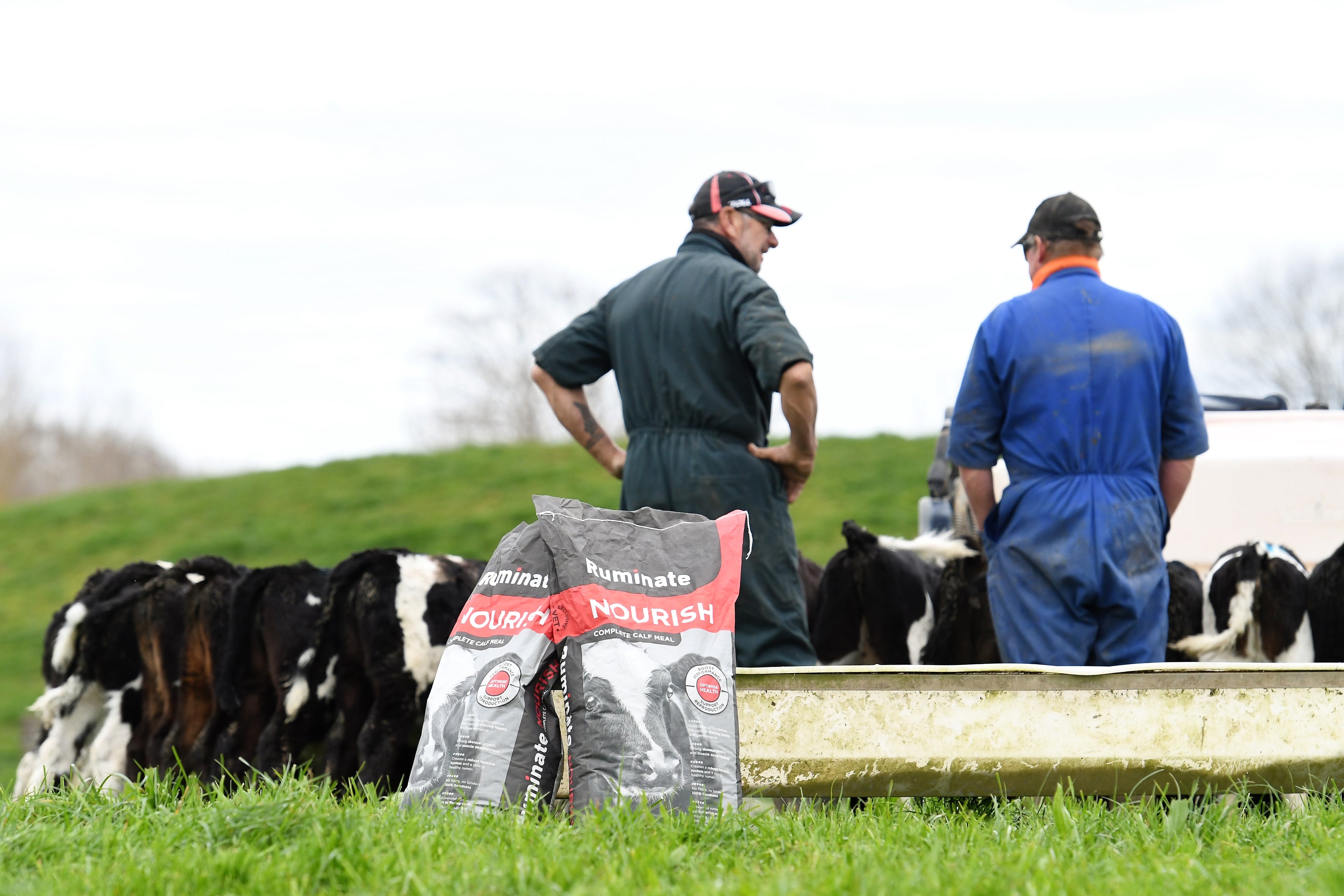 Nourish™ Superior Meal for Ruminants