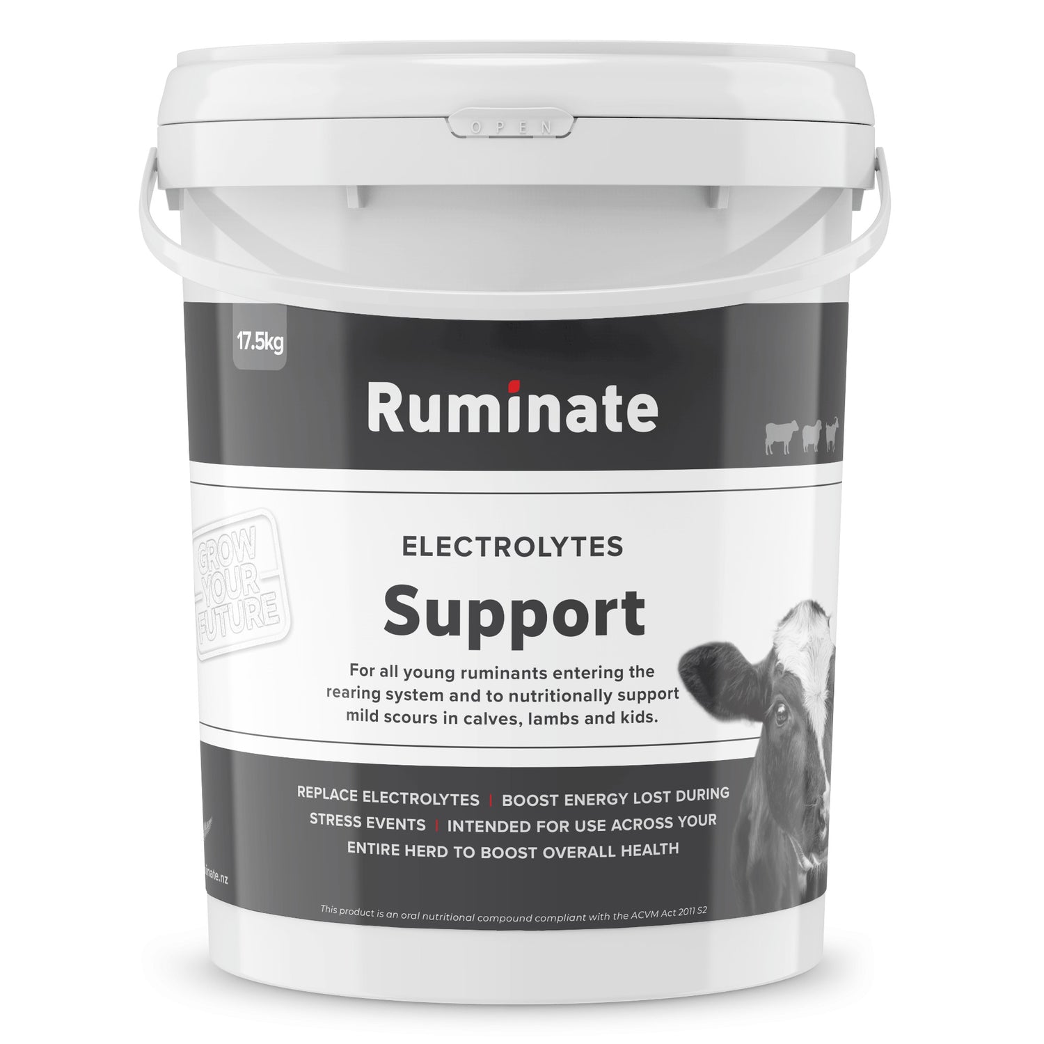 Support Electrolytes